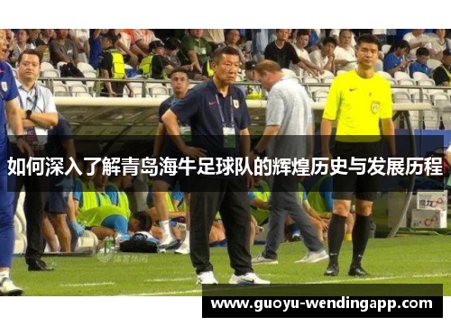 如何深入了解青岛海牛足球队的辉煌历史与发展历程