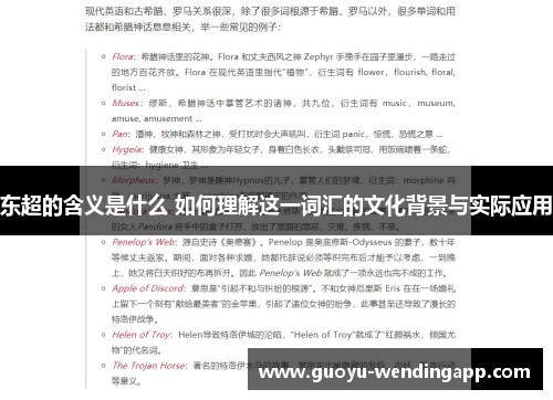 东超的含义是什么 如何理解这一词汇的文化背景与实际应用