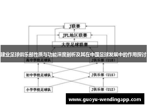 建业足球俱乐部性质与功能深度剖析及其在中国足球发展中的作用探讨 建业足球俱乐部性质与功能深度剖析及其在中国足球发展中的作用探讨