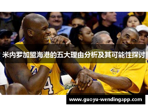 米内罗加盟海港的五大理由分析及其可能性探讨