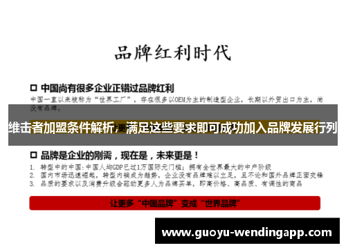 维击者加盟条件解析，满足这些要求即可成功加入品牌发展行列