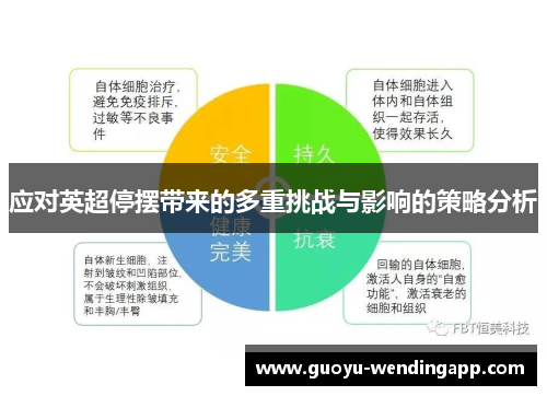 应对英超停摆带来的多重挑战与影响的策略分析