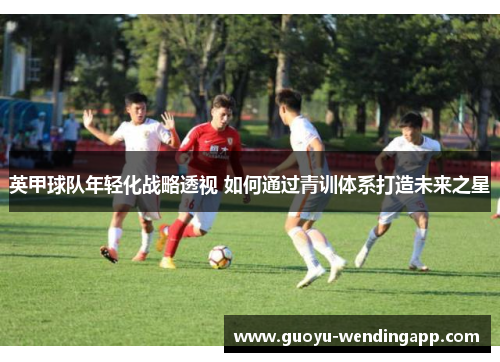 英甲球队年轻化战略透视 如何通过青训体系打造未来之星
