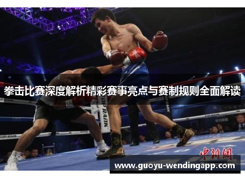 拳击比赛深度解析精彩赛事亮点与赛制规则全面解读