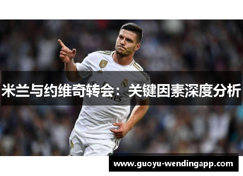 米兰与约维奇转会:关键因素深度分析 米兰与约维奇转会:关键因素深度分析