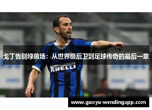 戈丁告别绿茵场：从世界级后卫到足球传奇的最后一章