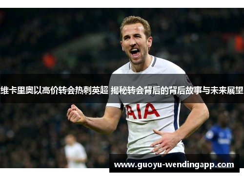 维卡里奥以高价转会热刺英超 揭秘转会背后的背后故事与未来展望 维卡里奥以高价转会热刺英超 揭秘转会背后的背后故事与未来展望