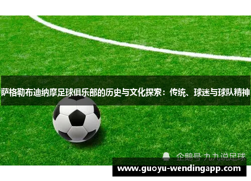 萨格勒布迪纳摩足球俱乐部的历史与文化探索：传统、球迷与球队精神