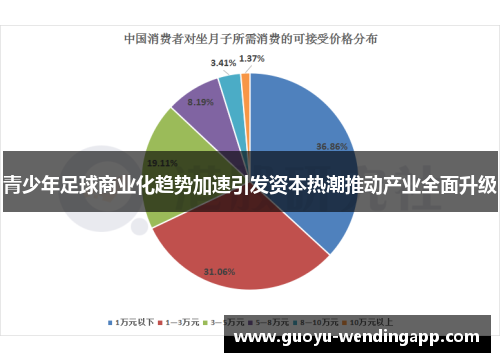 青少年足球商业化趋势加速引发资本热潮推动产业全面升级 青少年足球商业化趋势加速引发资本热潮推动产业全面升级