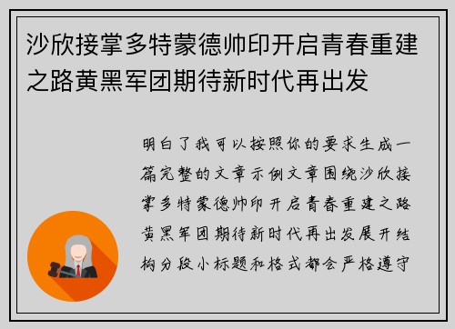 沙欣接掌多特蒙德帅印开启青春重建之路黄黑军团期待新时代再出发