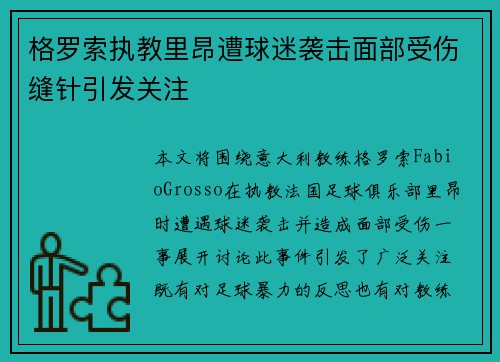 格罗索执教里昂遭球迷袭击面部受伤缝针引发关注